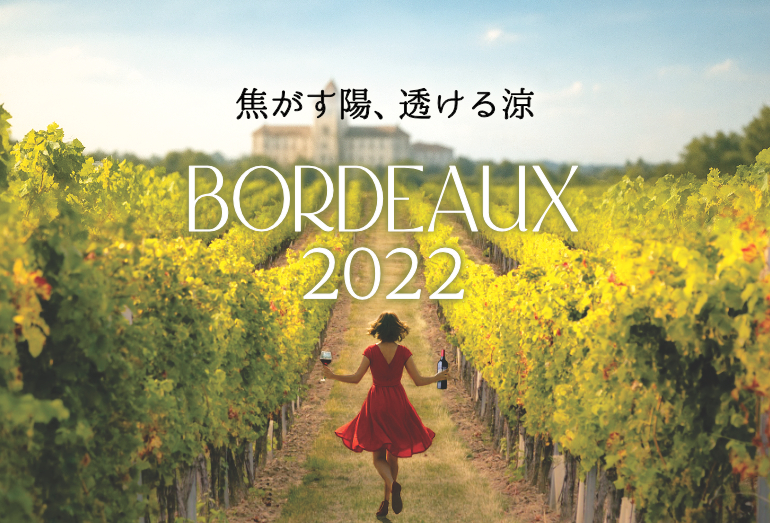ボルドーワイン2022