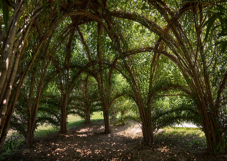 ボデガス・ピノルド