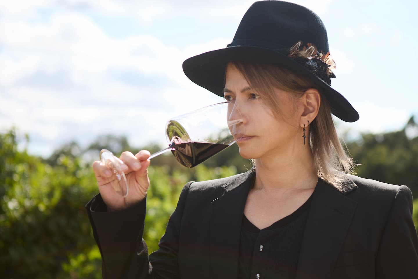 vamprose_hide_wines